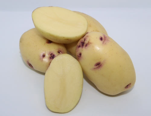 kestrel_potatoes